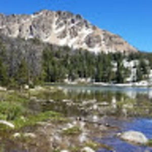 Meet your Posher, Damien